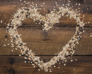 Avena sativa